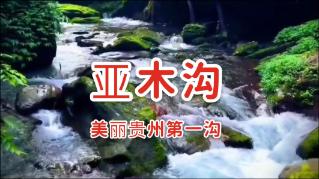 逗小猴开心系列175